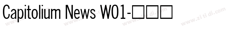 Capitolium News W01字体转换
